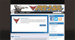 Desktop Screenshot of brassfalcon.com